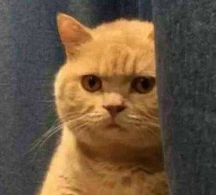 Will guys talk to an average-looking girl?