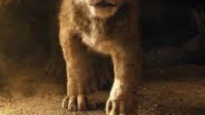 The Lion King movie?