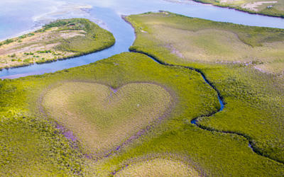 Would you like to visit the overseas French territory of New Caledonia?