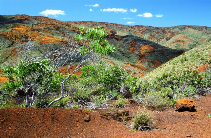 Would you like to visit the overseas French territory of New Caledonia?