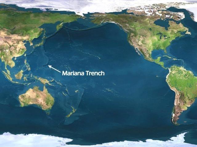 If you had the opportunity, would you dive into the deepest part of the ocean, the Mariana Trench?