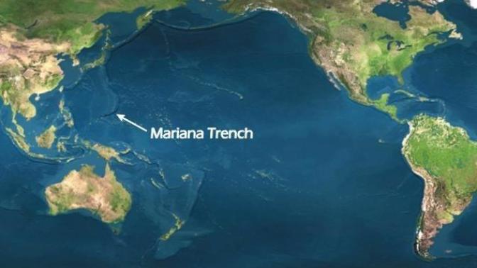 If you had the opportunity, would you dive into the deepest part of the ocean, the Mariana Trench?