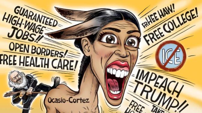 Do you think the Democrat Party will support a candidate to unseat AOC in the 2020 election?