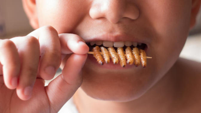 What is the weirdest thing you have eaten?