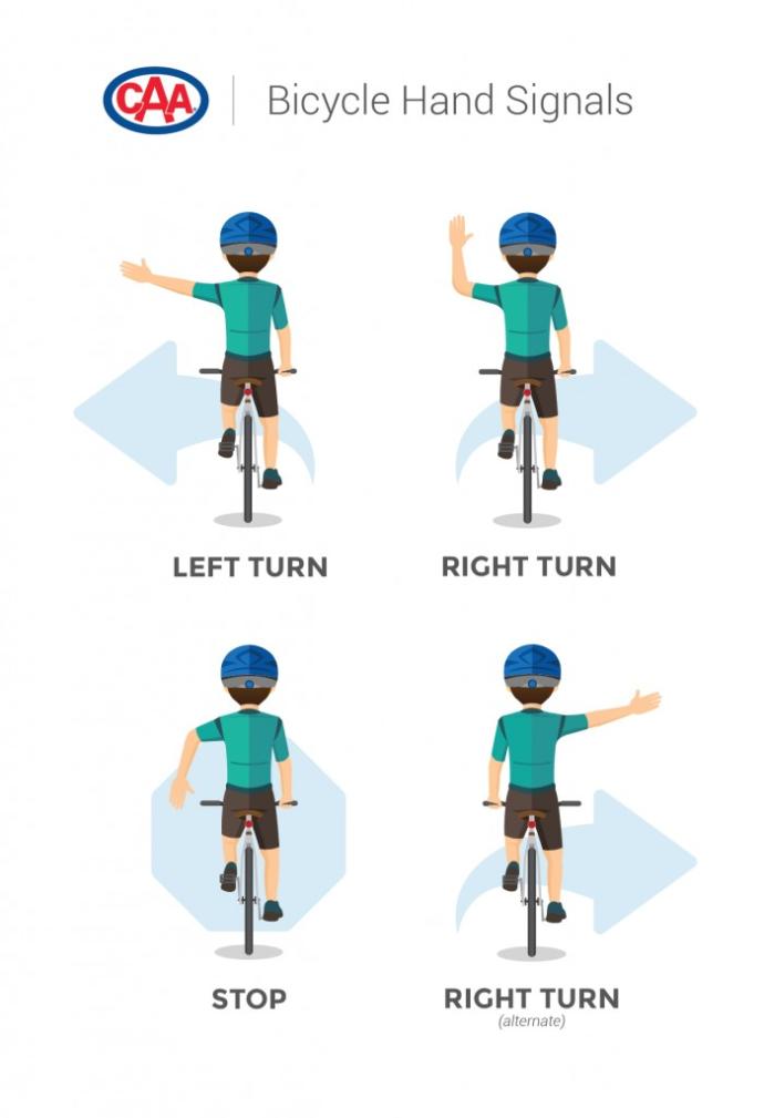 Do cyclists on the road annoy you?