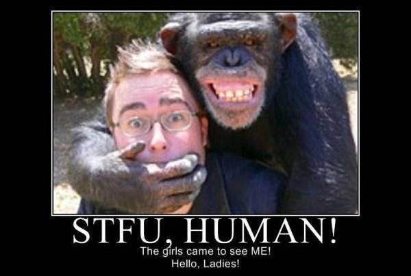 Someone is attempting to kidnap you at gunpoint. Would you refuse and get shot in the head OR go and find what torture they may have in store for you?