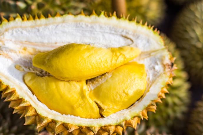 Do you like durian?