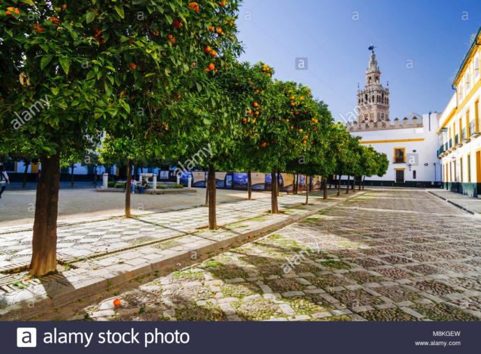 What are some things that make a city more aesthetically pleasing according to you?