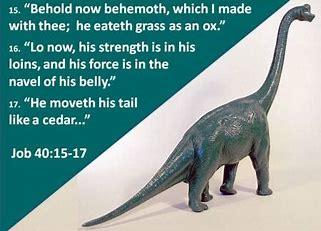 Let's Be Perfectly Honest: What Type of Animal Would Best Fit the One Mentioned in Job 40:15-24 KJV?
