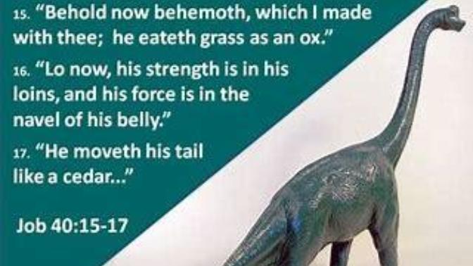 Let's Be Perfectly Honest: What Type of Animal Would Best Fit the One Mentioned in Job 40:15-24 KJV?