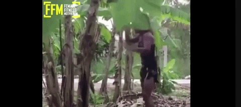 Would you date a guy/girl who does MMA , Boxing or anouther extremely violent sport?