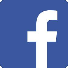 If you had to choose one social platform for the rest of your life, which would it be?