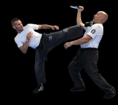 What martial art should I learn?