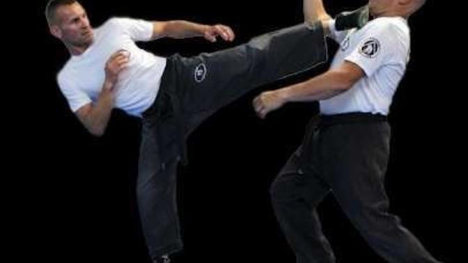 What martial art should I learn?