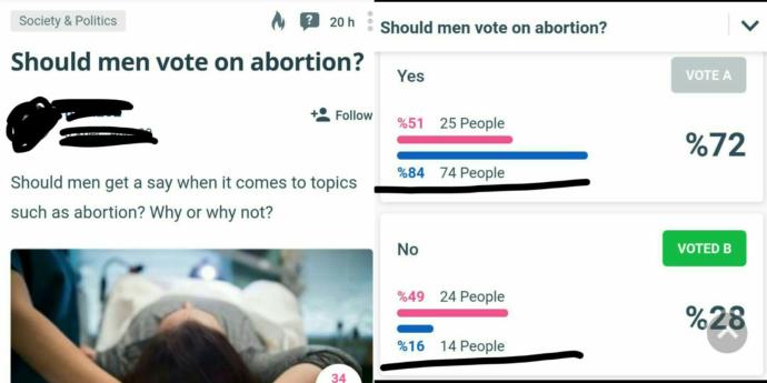 Incel men or Feminist women, who is more dangerous?