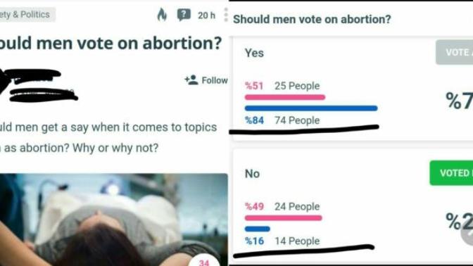 Incel men or Feminist women, who is more dangerous?