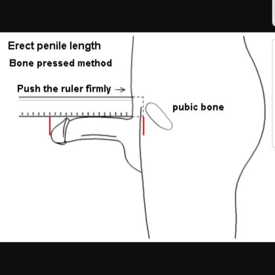Ladies, Which method do you consider to be more accurate??