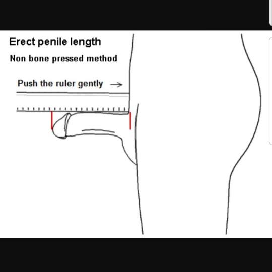 Ladies, Which method do you consider to be more accurate??