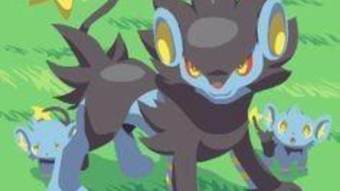 Favorite pokemon?