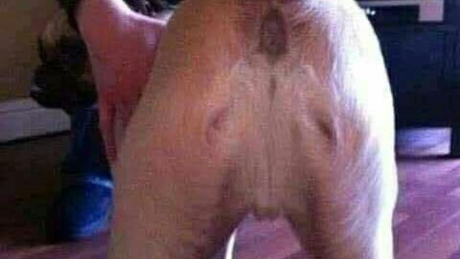 Where have you found jesus?