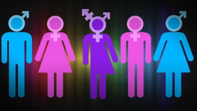 How many genders do you think there are?