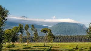 Would you visit Rwanda or Uganda?