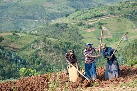 Would you visit Rwanda or Uganda?