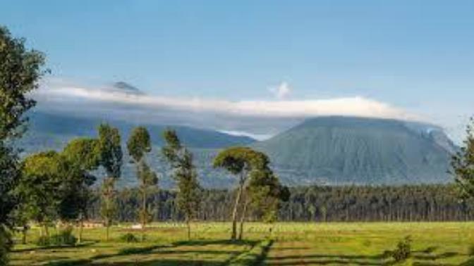 Would you visit Rwanda or Uganda?