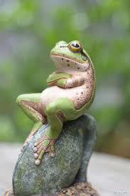 Am I a froggie?