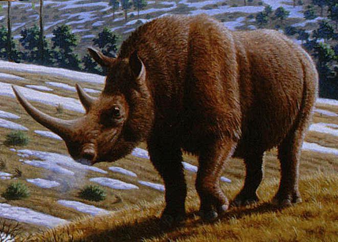 What's your favorite animal from ice age Europe?