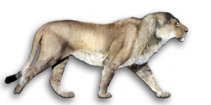 What's your favorite animal from ice age Europe?