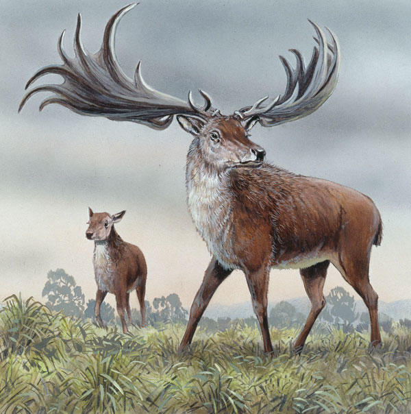 What's your favorite animal from ice age Europe?