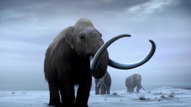 What's your favorite animal from ice age Europe?
