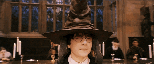 What’s your astrological sign? Harry potter house? Which divergent faction would you choose?