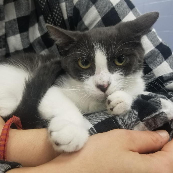This is Miss Ana. She doesn't really suck her thumb!