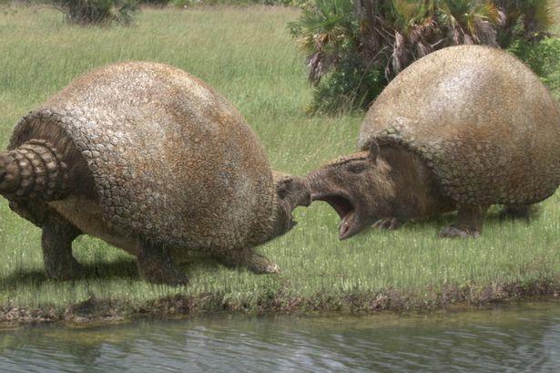 What's your favorite animal from the ice age Americas?