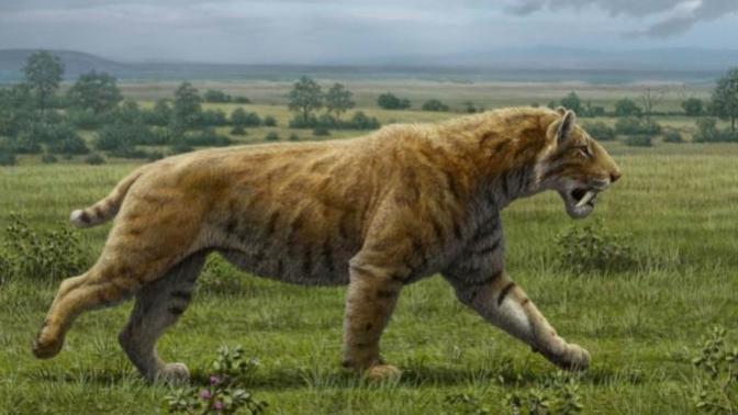 What's your favorite animal from the ice age Americas?