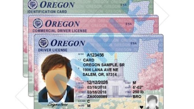 Oregon becomes the 14th state to legally allow undocumented immigrants a driver’s license. Thoughts?