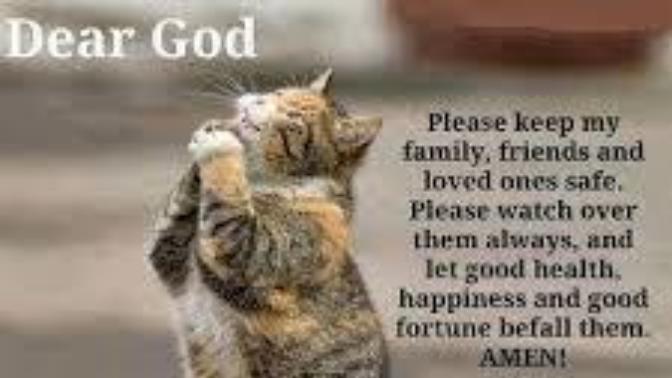Can We Turn the Cat from a Symbol of the Occult and Make it Into a Symbol of Christianity?