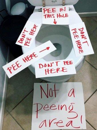 Guys, why do you pee all over the toilet seat? Girls, am I the only one that is grossed out by this?