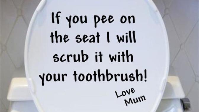 Guys, why do you pee all over the toilet seat? Girls, am I the only one that is grossed out by this?