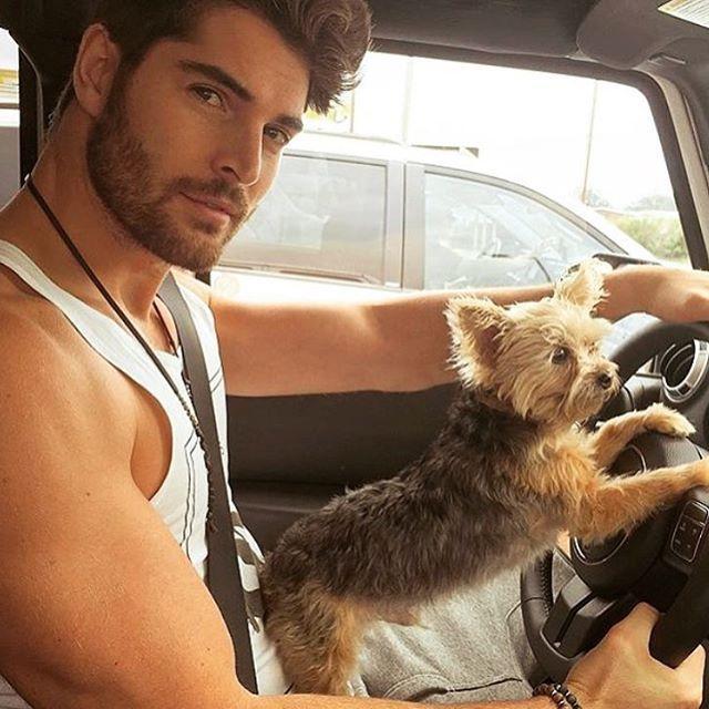Guys, do you have a big dog or a little dog?