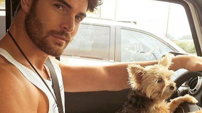 Guys, do you have a big dog or a little dog?