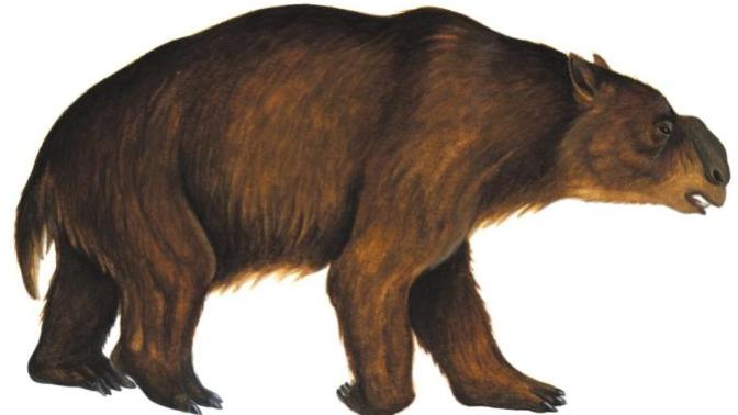 What is your favorite animal from ice age Australia?