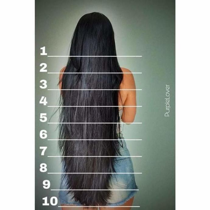 Where does your hair length fall according to this scale?