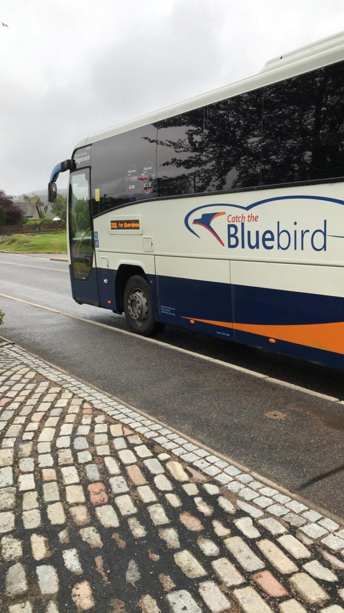 So you ever use buses?