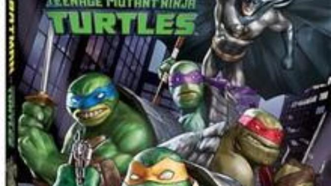 Have you seen tmnt vs Batman the movie and if not, would you want to?