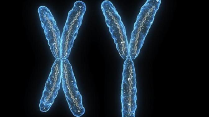 News flash: excessive phone use was found to have eliminated the "Y" chromosome from the human genome; is this progress, finally?