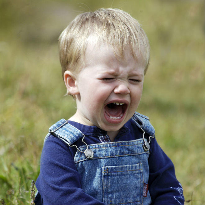 Have you ever thrown a temper tantrum or seen one? Do the parents sometimes play a roll in the cause for this?