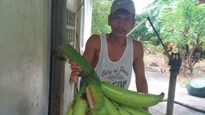 Which type of bananas do you usually buy at the store?